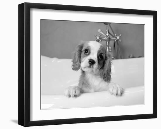 Lulu-Kim Levin-Framed Photographic Print