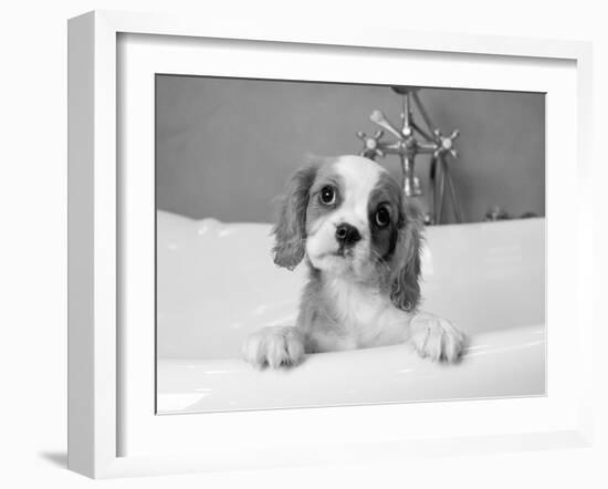 Lulu-Kim Levin-Framed Photographic Print