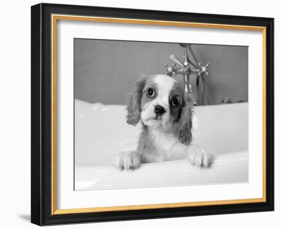 Lulu-Kim Levin-Framed Photographic Print