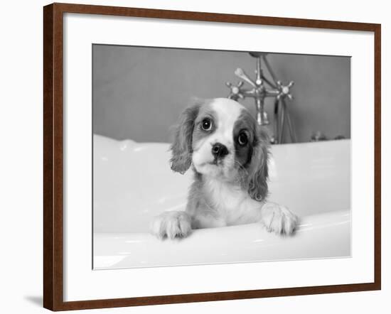 Lulu-Kim Levin-Framed Photographic Print