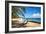 Lumahai Beach-Danny Head-Framed Photographic Print