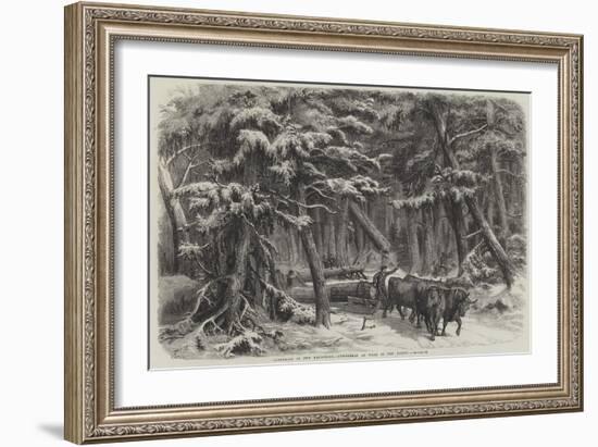 Lumbering in New Brunswick, Lumbermen at Work in the Forest-null-Framed Giclee Print