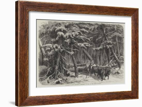 Lumbering in New Brunswick, Lumbermen at Work in the Forest-null-Framed Giclee Print