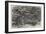 Lumbering in New Brunswick, Lumbermen at Work in the Forest-null-Framed Giclee Print