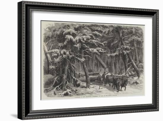 Lumbering in New Brunswick, Lumbermen at Work in the Forest-null-Framed Giclee Print