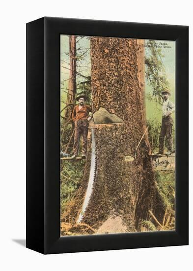 Lumberjacks Felling Cedar, Washington-null-Framed Stretched Canvas