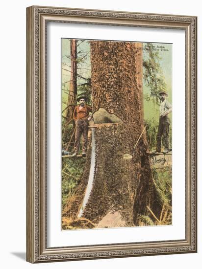 Lumberjacks Felling Cedar, Washington-null-Framed Art Print