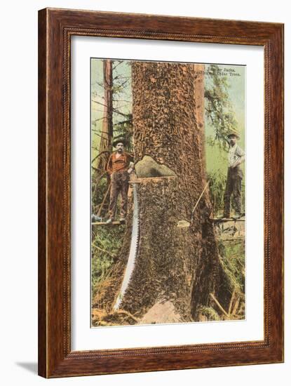 Lumberjacks Felling Cedar, Washington-null-Framed Art Print