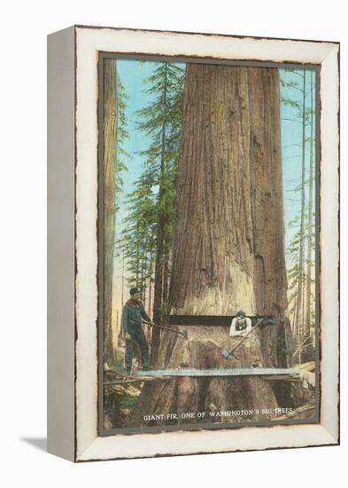 Lumberjacks Felling Fir, Washington-null-Framed Stretched Canvas