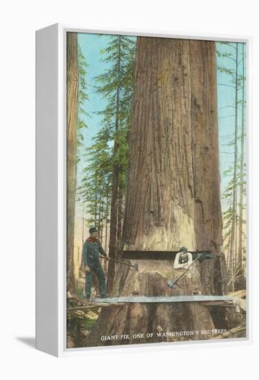 Lumberjacks Felling Fir, Washington-null-Framed Stretched Canvas