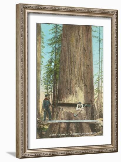 Lumberjacks Felling Fir, Washington-null-Framed Art Print