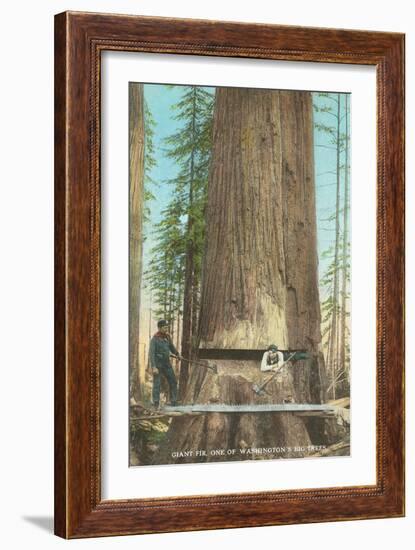 Lumberjacks Felling Fir, Washington-null-Framed Art Print