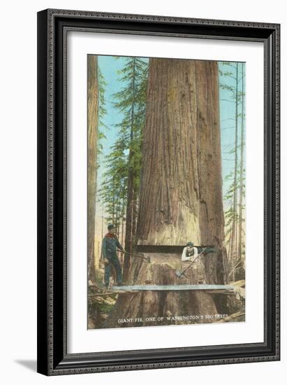 Lumberjacks Felling Fir, Washington-null-Framed Art Print