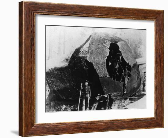 Lumberjacks Inside a Redwood Tree - Humboldt County, CA-Lantern Press-Framed Art Print