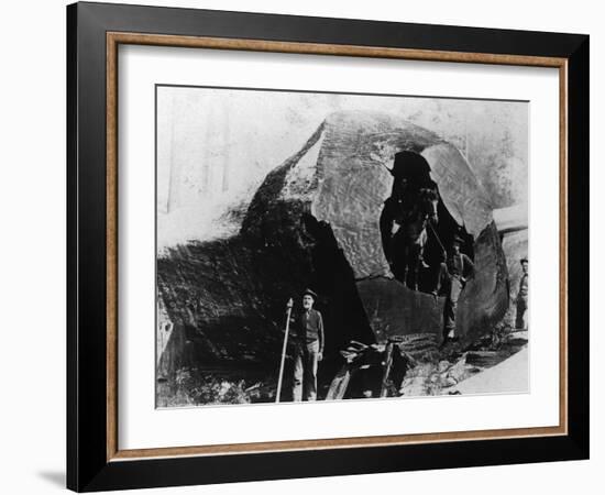 Lumberjacks Inside a Redwood Tree - Humboldt County, CA-Lantern Press-Framed Art Print