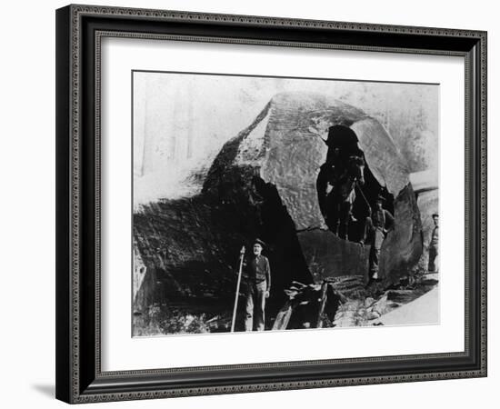 Lumberjacks Inside a Redwood Tree - Humboldt County, CA-Lantern Press-Framed Art Print