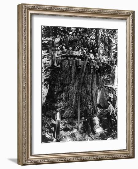 Lumberjacks prepairing Fir Tree for St. Louis World's Fair Photograph - Washington State-Lantern Press-Framed Art Print