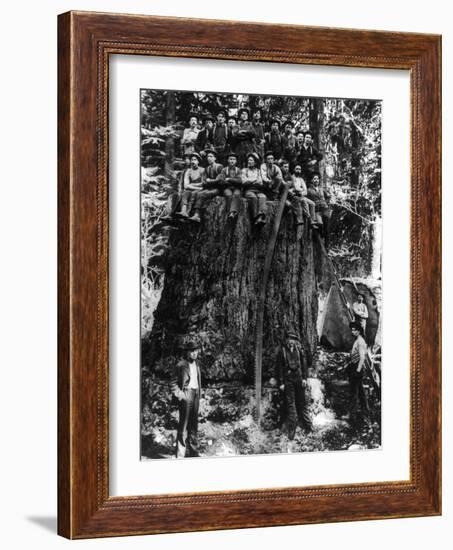 Lumberjacks prepairing Fir Tree for St. Louis World's Fair Photograph - Washington State-Lantern Press-Framed Art Print