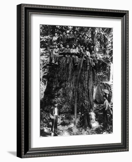 Lumberjacks prepairing Fir Tree for St. Louis World's Fair Photograph - Washington State-Lantern Press-Framed Art Print