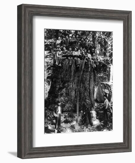 Lumberjacks prepairing Fir Tree for St. Louis World's Fair Photograph - Washington State-Lantern Press-Framed Art Print