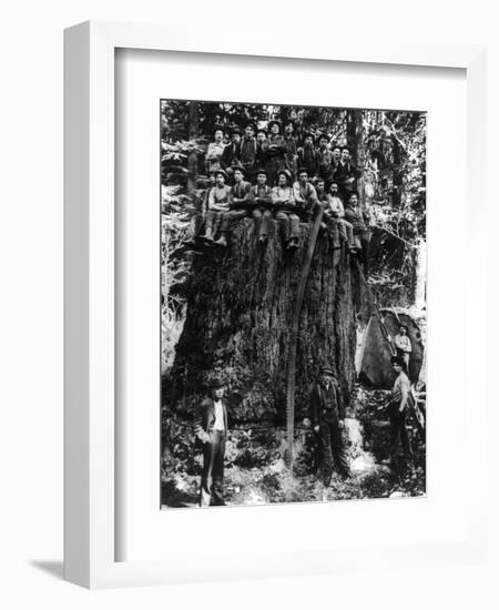 Lumberjacks prepairing Fir Tree for St. Louis World's Fair Photograph - Washington State-Lantern Press-Framed Art Print