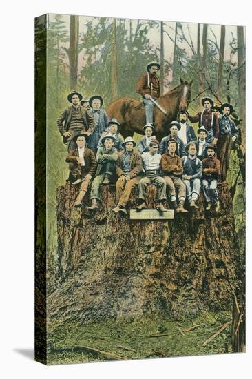 Stretched Canvas Print, , large