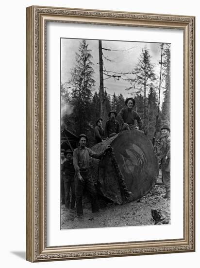 Lumberjacks standing around 7 ft. Fir Tree Photograph - Cascades, WA-Lantern Press-Framed Art Print