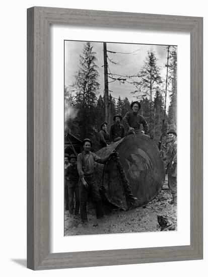 Lumberjacks standing around 7 ft. Fir Tree Photograph - Cascades, WA-Lantern Press-Framed Art Print