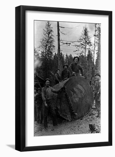Lumberjacks standing around 7 ft. Fir Tree Photograph - Cascades, WA-Lantern Press-Framed Art Print