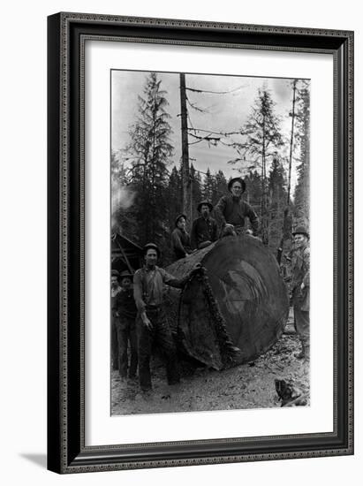 Lumberjacks standing around 7 ft. Fir Tree Photograph - Cascades, WA-Lantern Press-Framed Art Print