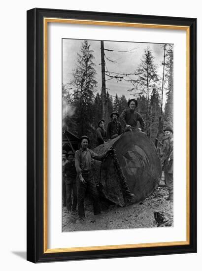 Lumberjacks standing around 7 ft. Fir Tree Photograph - Cascades, WA-Lantern Press-Framed Art Print
