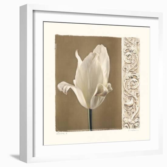 Lumiere II-Amy Melious-Framed Art Print