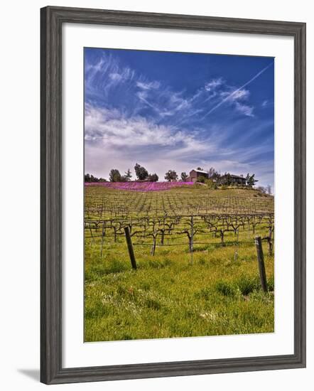 Lumiere Winery, Temecula, California, USA-Richard Duval-Framed Photographic Print