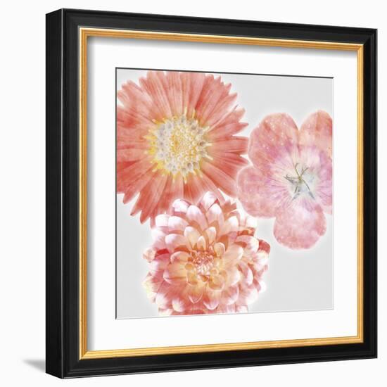 Luminescent Blooms-null-Framed Giclee Print