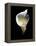 Luminous Calla Lily-George Oze-Framed Premier Image Canvas