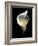 Luminous Calla Lily-George Oze-Framed Photographic Print