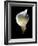 Luminous Calla Lily-George Oze-Framed Photographic Print