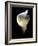 Luminous Calla Lily-George Oze-Framed Photographic Print