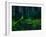 Luminous, glowing light tracks from male Fireflies, Germany-Konrad Wothe-Framed Photographic Print
