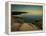 Luminous Landcape-Irene Suchocki-Framed Premier Image Canvas