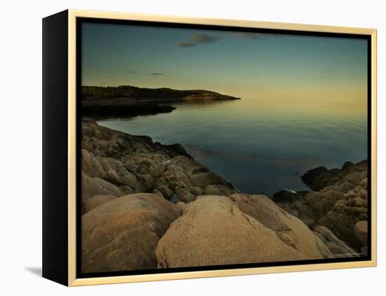 Luminous Landcape-Irene Suchocki-Framed Premier Image Canvas