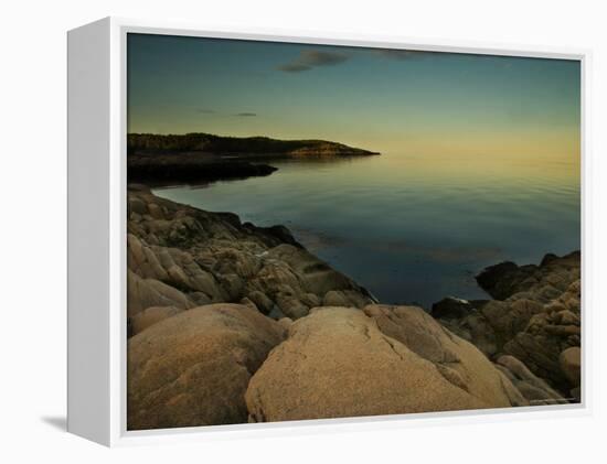 Luminous Landcape-Irene Suchocki-Framed Premier Image Canvas