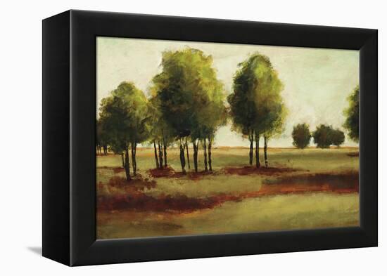 Luminous Landscape-Randy Hibberd-Framed Stretched Canvas