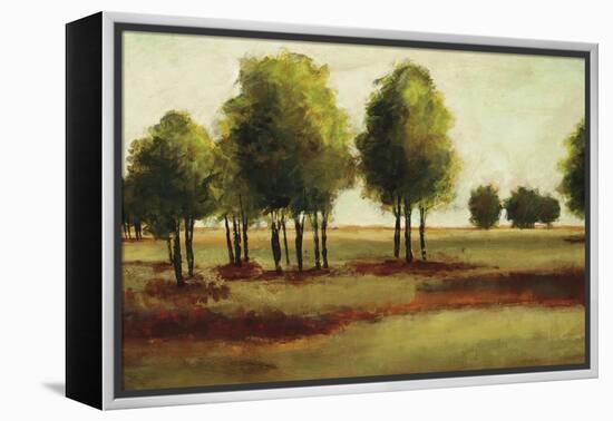 Luminous Landscape-Randy Hibberd-Framed Stretched Canvas