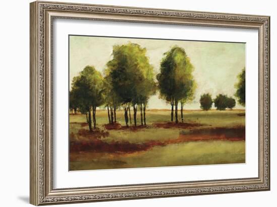 Luminous Landscape-Randy Hibberd-Framed Art Print