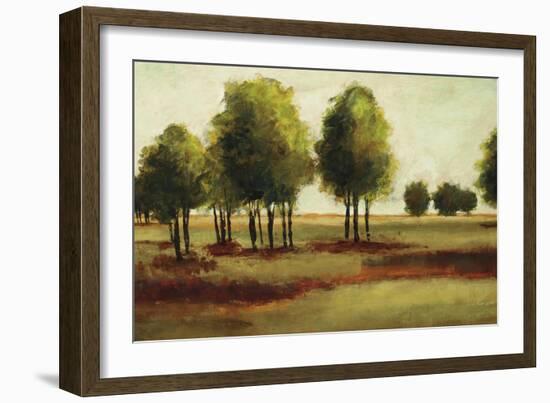 Luminous Landscape-Randy Hibberd-Framed Art Print