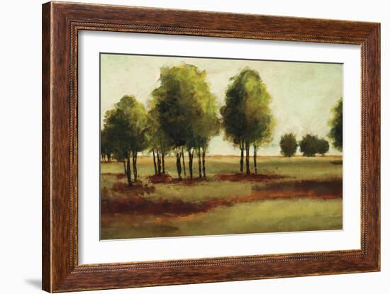 Luminous Landscape-Randy Hibberd-Framed Art Print