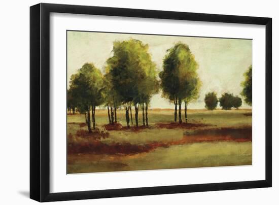 Luminous Landscape-Randy Hibberd-Framed Art Print