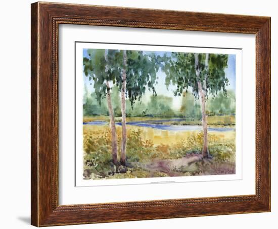 Luminous Meadow I-Tim O'toole-Framed Art Print