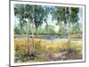 Luminous Meadow I-Tim O'toole-Mounted Art Print